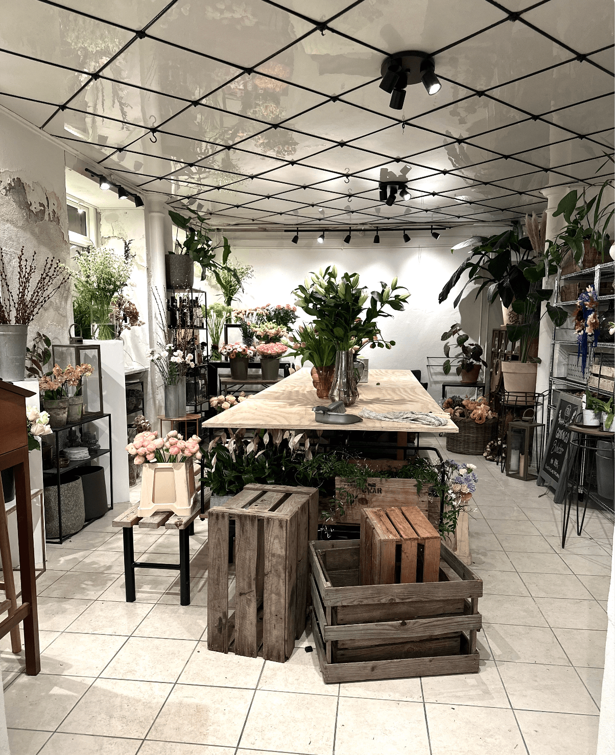Gallery media #2
